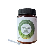 오엠오 새싹보리 분말 원통형, 150g, 1개