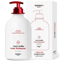 아케이 더마 안티폴루 발각질제거 풋샴푸 550ml, 1개