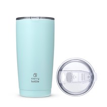 캐리보틀 스탠다드 스테인레스 보온보냉 텀블러, 민트, 600ml