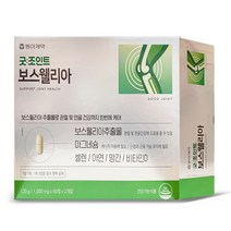 동아제약 굿조인트 보스웰리아 120g, 1개, 120정