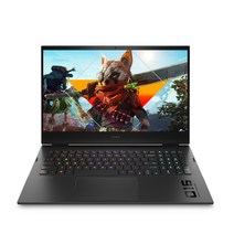 HP 2021 노트북 16.1, Shadow Black, OMEN 16-b0094TX, 코어i7, 512GB, 16GB, WIN11 Home