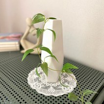 모리앤 럭셔리 무광 도자기 화병, 14 루시아 L