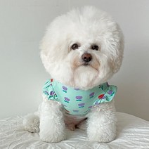 바이담수미 강아지 튤립티셔츠, 그린