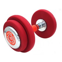 파워헬스 우레탄 아령 레드, 10kg, 1개
