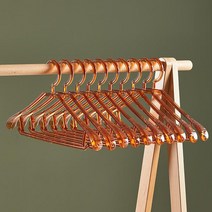 릴제이 옷걸이 GH19_RD_922, 투명브라운, 10개입