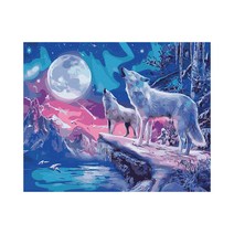 플레이어바웃 늑대와 오로라 DIY 명화 그리기 세트 40 x 50 cm, 혼합색상