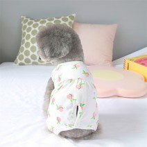 랜보어 반려동물 소프트 피치 올인원 중성화복, 화이트