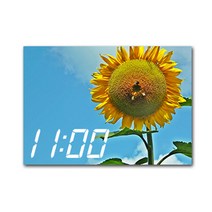 홈마인 LED 시계 캔버스 프린팅 액자 해바라기 A3, 28