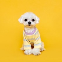 플로트 강아지 후르츠 티셔츠, 레몬