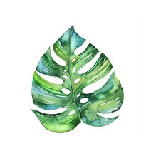 아이엠미니 DIY 명화그리기 별빛 무드등 패키지 30 x 40 cm, 몬스테라