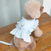 파스텔펫 반려동물 프릴 하네스 + 리드줄 세트 XS, 블루, 1세트