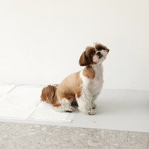 펫피베이직 강아지 논슬립 배변매트 와이드형, 라이트그레이, 1개