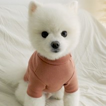 반려동물 이너 폴라 티셔츠, 메이즈