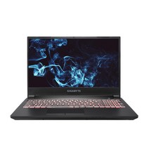 기가바이트 2021 노트북 15.6, 혼합색상, 코어i5 11세대, 1024GB, 16GB, WIN10 Home, GIGBYTE G5 GD Gen11 i5 P Win10