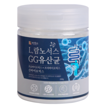 건강중심 L 람노서스GG 유산균, 1개, 250g