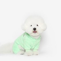 투스투스 강아지 곰돌이 후리스 올인원, 라임