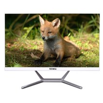 뷰라이프 올인원 일체형PC AP-D238-T3-G5 (펜티엄골드-G5420 61cm), WIN미포함, RAM 16GB, SSD 256GB