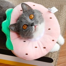 진호 반려동물 과일 목쿠션 넥카라 딸기 L, 1개