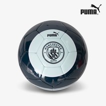 푸마 맨시티 스포츠 체육대회 축구공 5호