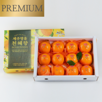 [14brix 이상] 서귀포 천혜향 효돈 하우스 천혜향 고당도 당도선별 정품, 당도선별 천혜향 로얄대과(8~11과) 2.5kg, 1개