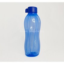 타파웨어 에코물통 750ml(1) 운동용 헬스장 물통 물병 타파물병, 블루