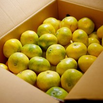 제주 효돈 하우스 감귤 노지 타이백 비가림 고당도 가정용 귤, 소과(2S - S)/55~86과, 4.5kg, 1개