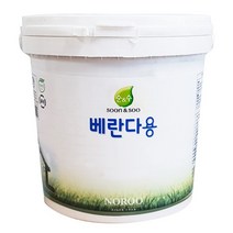 노루페인트 순앤수 친환경 베란다용 수성 페인트 무광 2L, 소프트 화이트