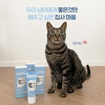 뚜또가또 바르는 덴탈 치약 닭고기맛 치석 구취제거, 단품