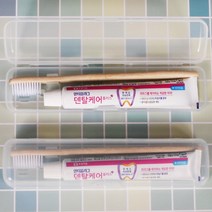 부광 안티프라그 휴대용 치약 치솔 케이스 세트 여행용, 안티프라그휴대용치약치솔세트, 1