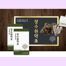 (장수원약초) 엉겅퀴즙 진액, 90mlX60포, 1상자