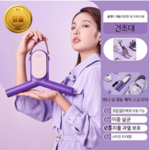 프랠리빙 미니의류관리기 미니스타일러 소형 건조 1인, 신모델(QR-STUT300)