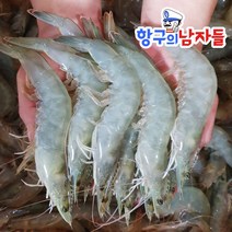 국내산 살아있는 흰다리새우 대사이즈 활새우 제철새우 생새우 새우소금구이 새우찜, 고흥 활새우 대사이즈 1kg (35~40미)