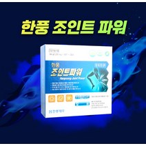 한풍 조인트 파워 60정