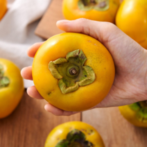 [특품선별] 창원 산지직송 달달아삭 단감 2kg 3kg 5kg 대과, 특품 단감 2kg