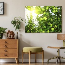 아란아트 사과그림 15종 풍수 인테리어 캔버스 액자 주방 거실, 10 선샤인 푸른사과