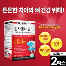 치아 잇몸 영양제 인사 덴티 골드 60정 칼슘 프로폴리스 비타민C 옥수수수염 추출분말 리소짐 부모님 어르신 노인 치아 뼈 건강 알약케이스 포함, 2박스(4개월분)