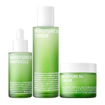 아이소이 장수진 3종세트(토너130ml/앰플40ml/크림70ml), 1개