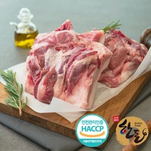 양심뒷고기 뒷고기 한돈 특수부위 꼬들살 덜미살 두항정살 설하살 뽈살 외 캠핑용고기, 1개, 설하살 400g