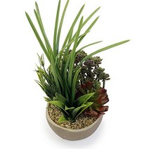 allgala Small Desktop Artificial Combination Succulent Plant Group with Natural Clay Pot null, 1, Combo Crassula