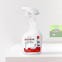 뿌리는 곰팡이제거제 (욕실 베란다용) 700ml 화장실청소 다목적세제 싱크대 세정제 찌든때 물때제거 강력한