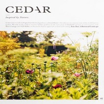 Cedar Uk 1년 정기구독1년 정기구독(관련 과월호 1권 랜덤 증정)