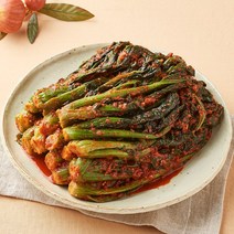 [KT알파쇼핑]반장마켓 여수노반장 돌산갓김치 2.5kg 국내산 외 별미김치, 김치:동치미 2kg