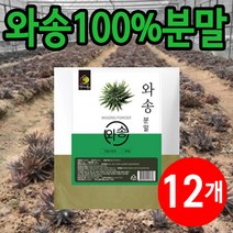 와송분말 생와송 500g, 12개 (8000원 할인), 12개