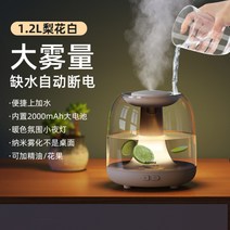 가열식가습기 웰포트 가열식 가습기 휴대용 무음 침실﻿RT-A500, 이화백(간편한 수분가득)