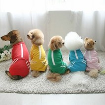 백수의 하루 애견 패션 옷, 옐로우XL