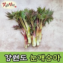 강원도 고랭지 눈개승마 1kg 삼나물 눈게승마 능개승마 삼나물 승마초 제철 봄나물