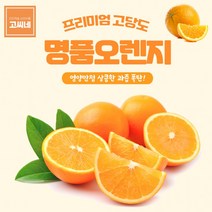 고씨네 프리미엄 오렌지1.5kg 오렌지 오렌지가격 귤, 상세페이지 참조