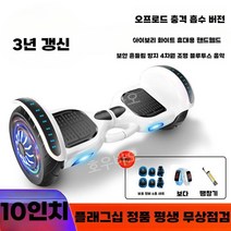 투휠 전동 보드 이륜 스쿠터 호버 성인 출퇴근 휴대용 킥보드 두발, 화이트