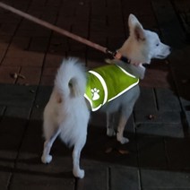 반려견옷 강아지 야광 야간 중형견옷, S