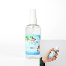 손 세정 스프레이 100ml 대용량손세정제 휴대용손소독제스프레이 핸드젤 미니손소독제 휴대용소독제 손세정제답